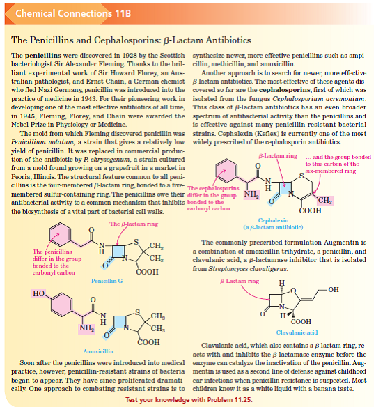 Solved Chemical Connections 11b A Identify The B Lactam Por Chegg Com