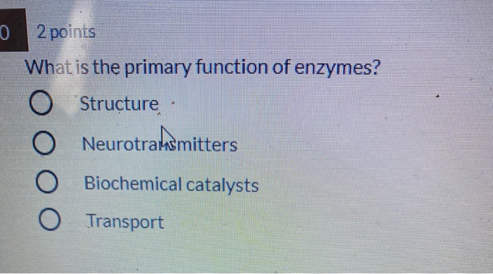 Solved 2 points What is the primary function of enzymes? O | Chegg.com