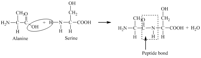 Solved Chapter F Problem 2dq Solution Physical Chemistry For The Life Sciences 2nd Edition 2096