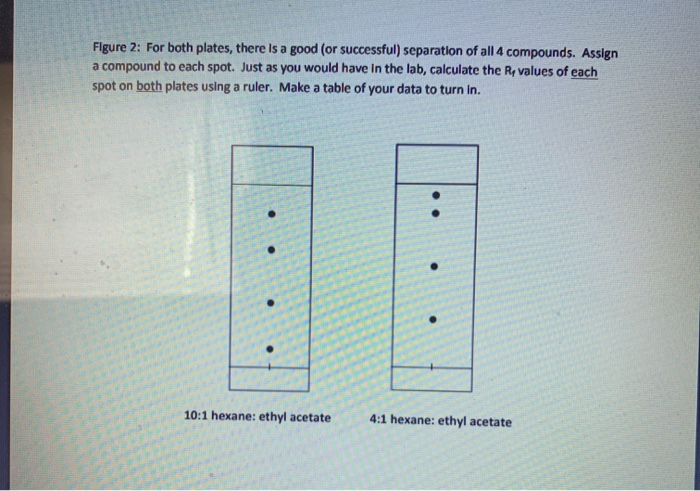 Solved Thin Layer Chromatography 1 Analyzed Tlc Plates Chegg Com