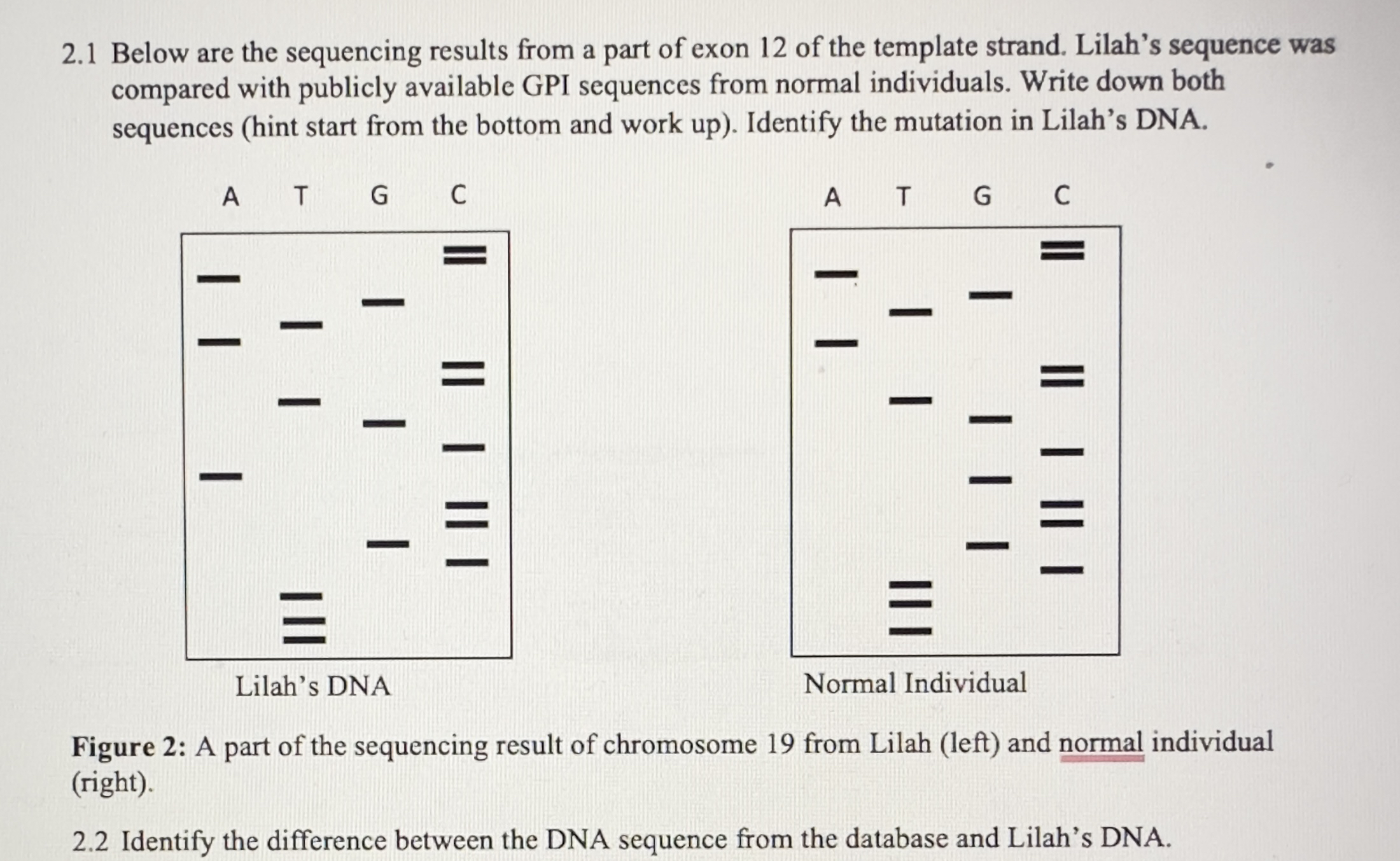 Solved 2.1 ﻿Below are the sequencing results from a part of | Chegg.com