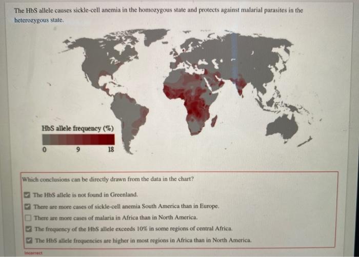 solved-the-hbs-allele-causes-sickle-cell-anemia-in-the-chegg