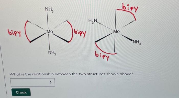 Solved What is the relationship between the two structures | Chegg.com