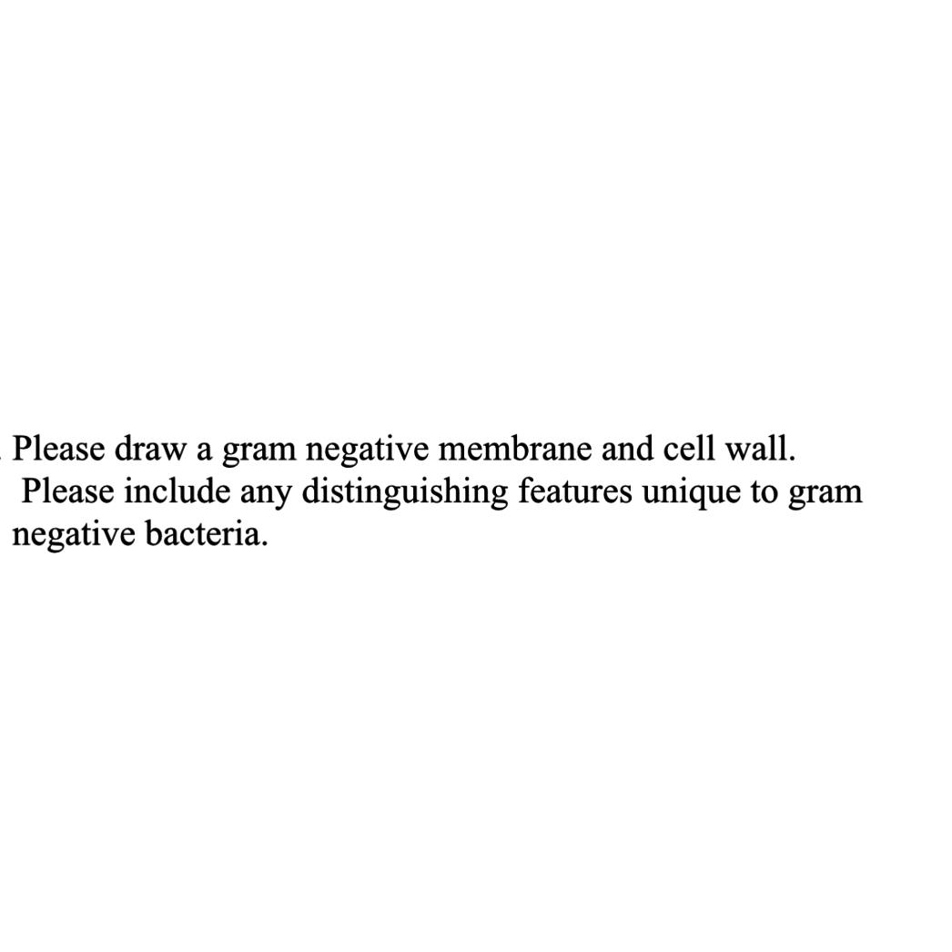 Solved Please draw a gram negative membrane and cell wall. | Chegg.com