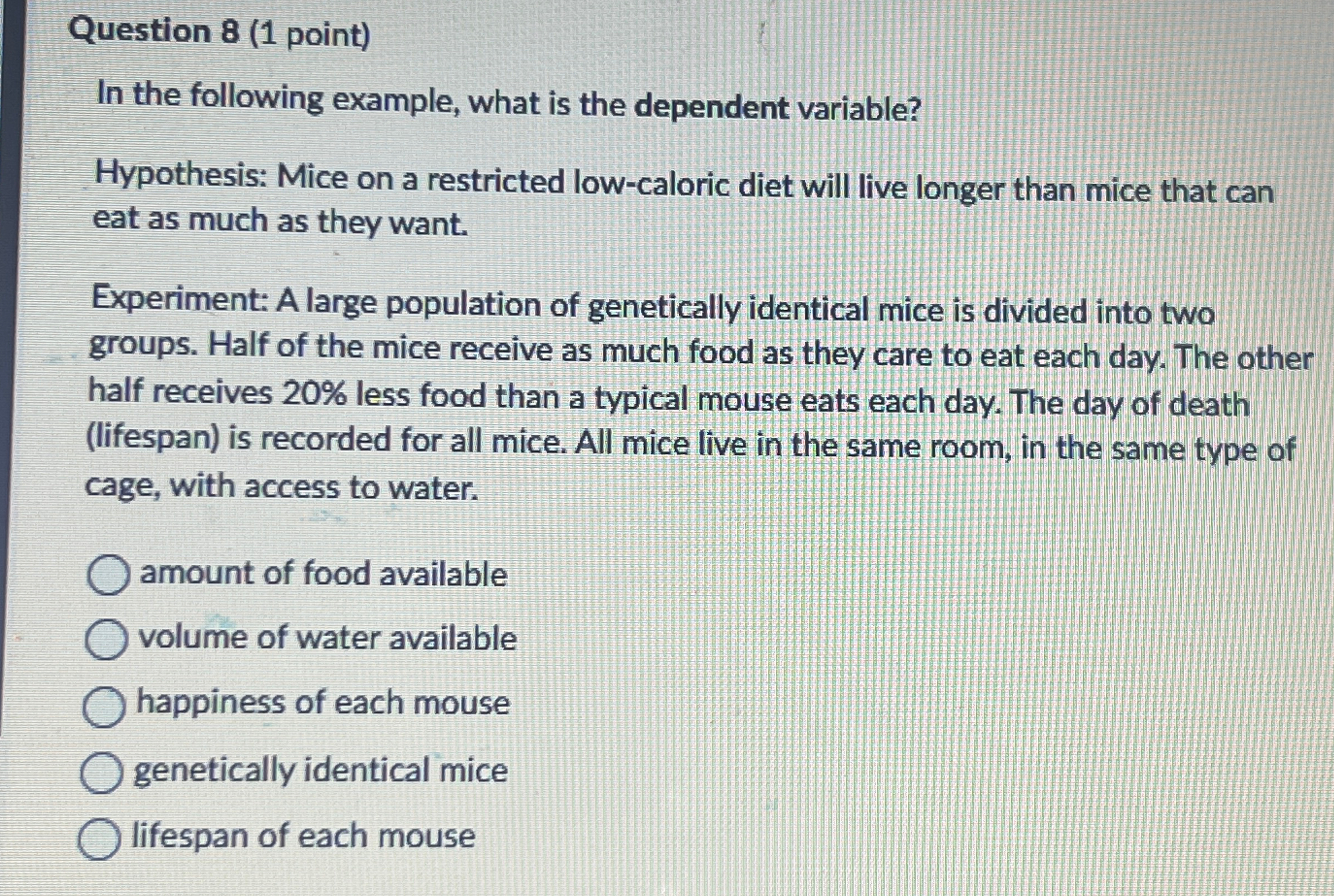 Question 8 (1 ﻿point)In the following example, what | Chegg.com