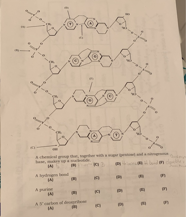 Solved D Ho Ch A E B Ch F Hd Ch Ch A C Oh Chegg Com