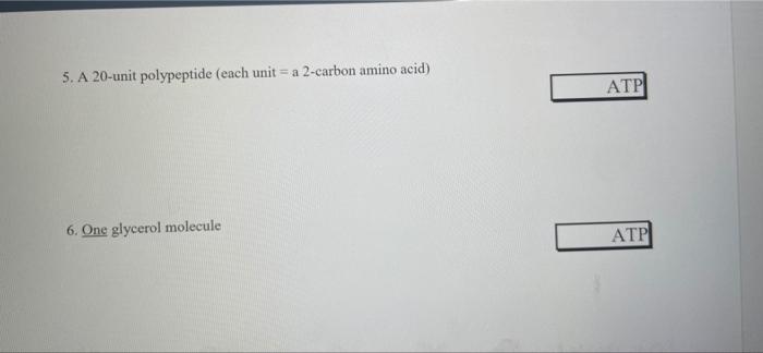 Solved Some common substrates and the place in the aerobic | Chegg.com