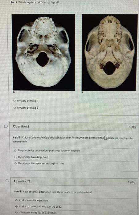 Solved Part I. Which Mystery Primate Is A Biped? Mystery | Chegg.com