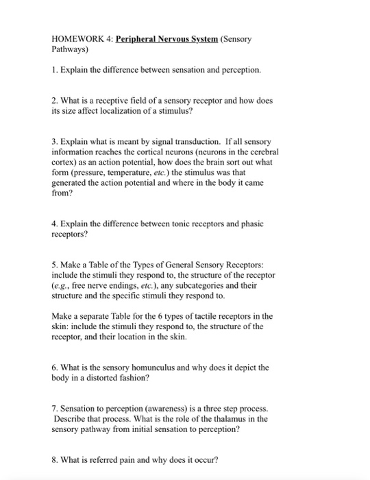 Nervous system worksheet answers quizlet picture