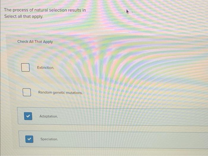 Solved The Process Of Natural Selection Results In Select | Chegg.com