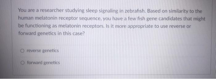 You are a researcher studying sleep signaling in zebrafish. Based on similarity to the human melatonin receptor sequence, you