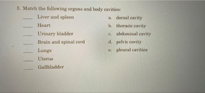 Solved 5. Match The Following Organs And Body Cavities: | Chegg.com