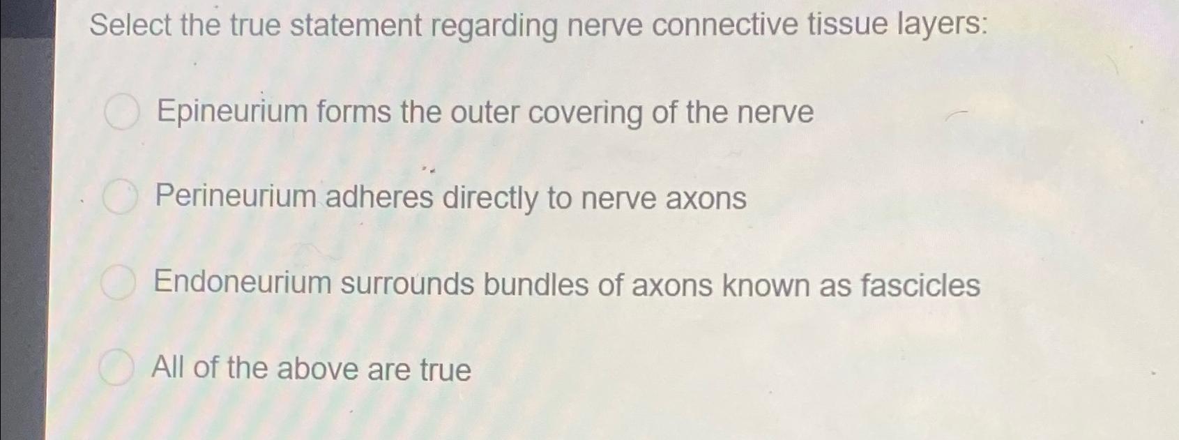 Solved Select the true statement regarding nerve connective | Chegg.com