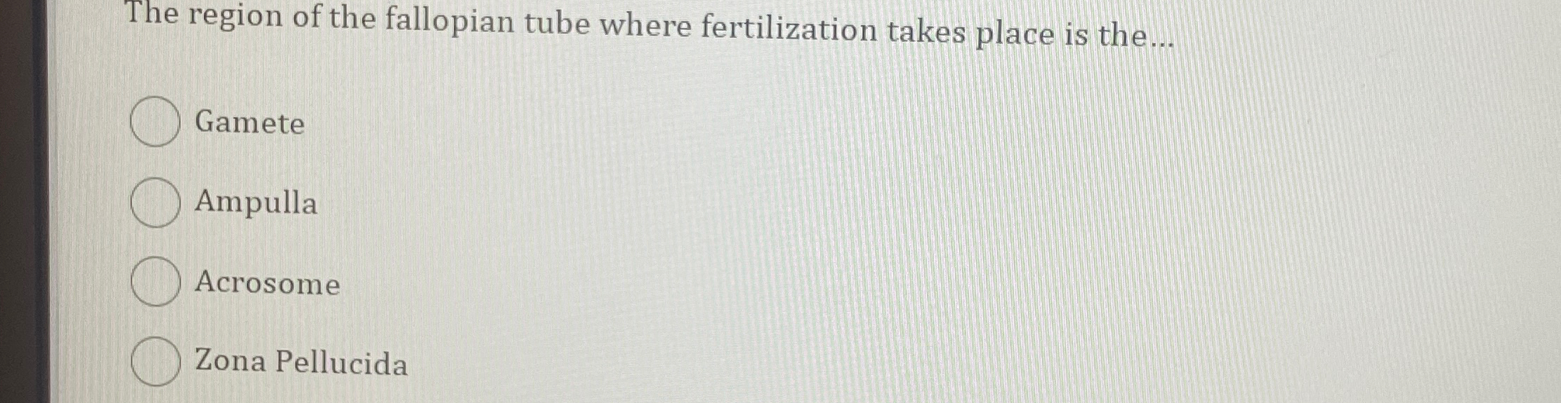 fertilization of ovum takes place in ampulla