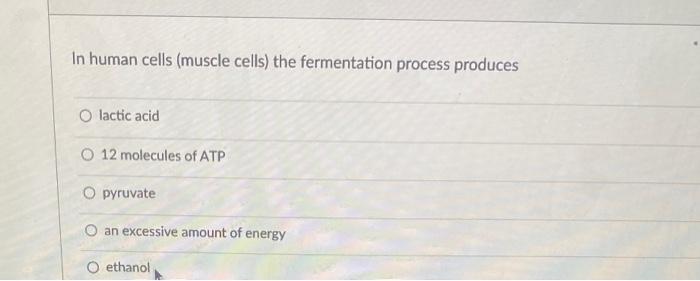 Solved In human cells (muscle cells) the fermentation | Chegg.com