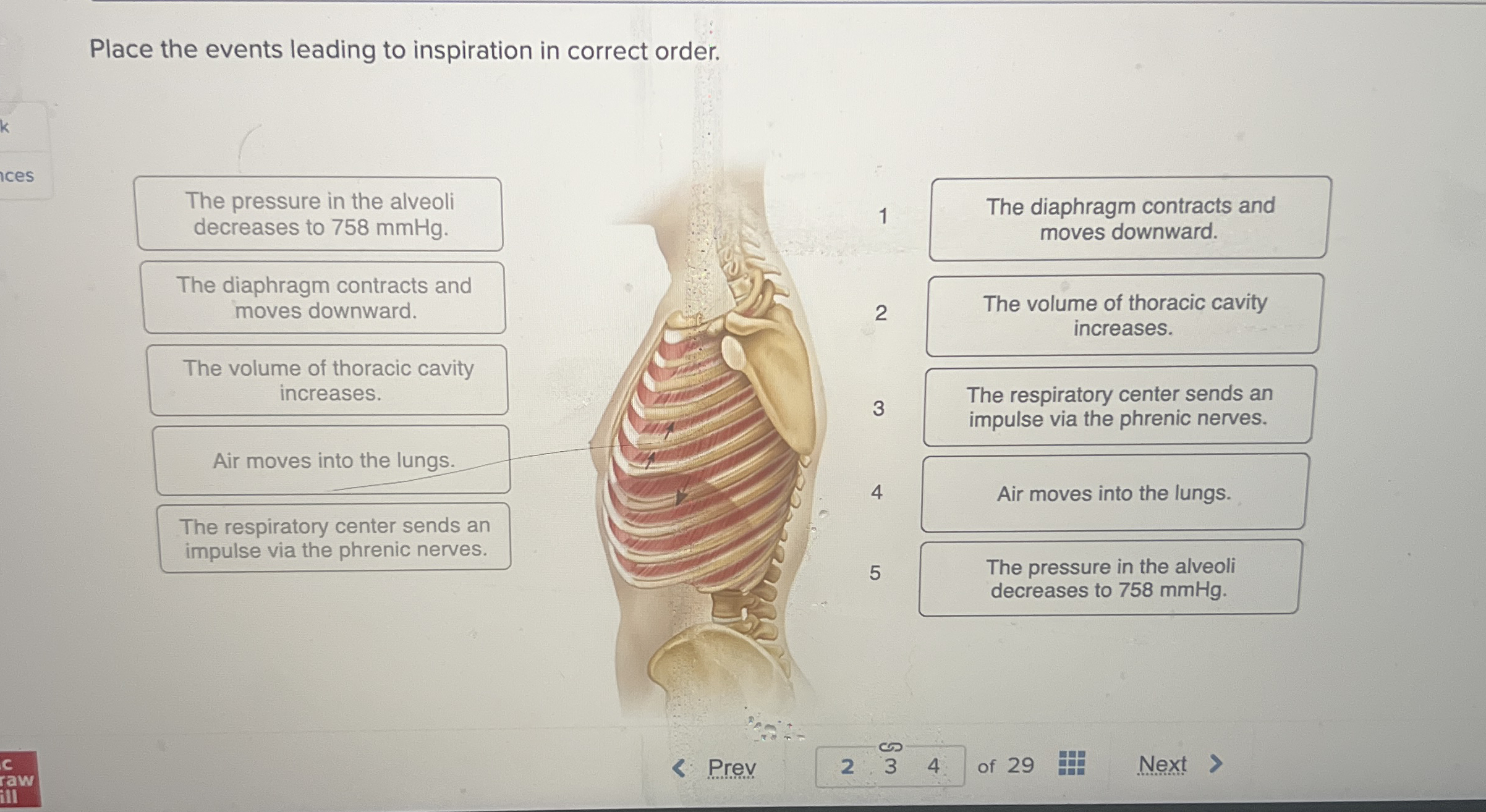 Solved Place the events leading to inspiration in correct | Chegg.com