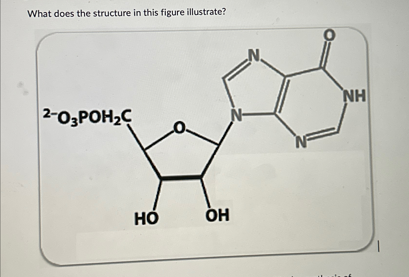 What does the structure in this figure illustrate? | Chegg.com