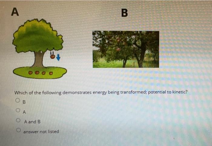 Which of the following demonstrates energy being transformed; potential to kinetic?
B
A
\( A \) and \( B \)
answer not listed