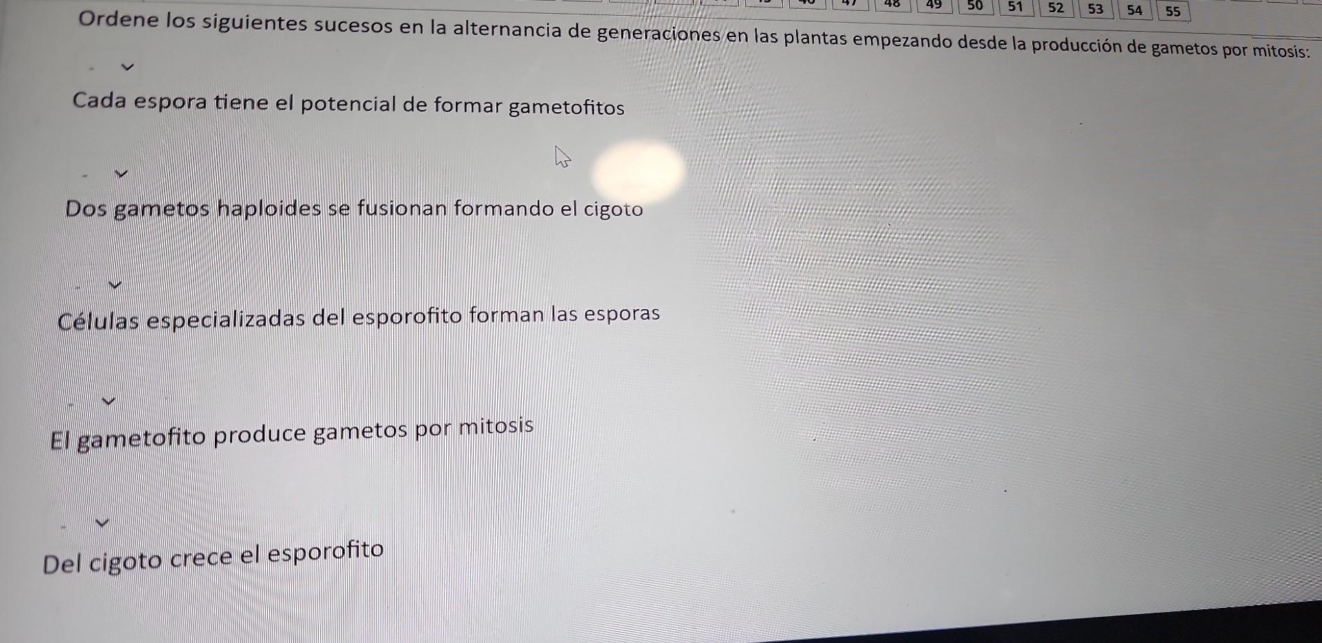 Ordene los siguientes sucesos en la alternancia de generaciones en las plantas empezando desde la producción de gametos por m