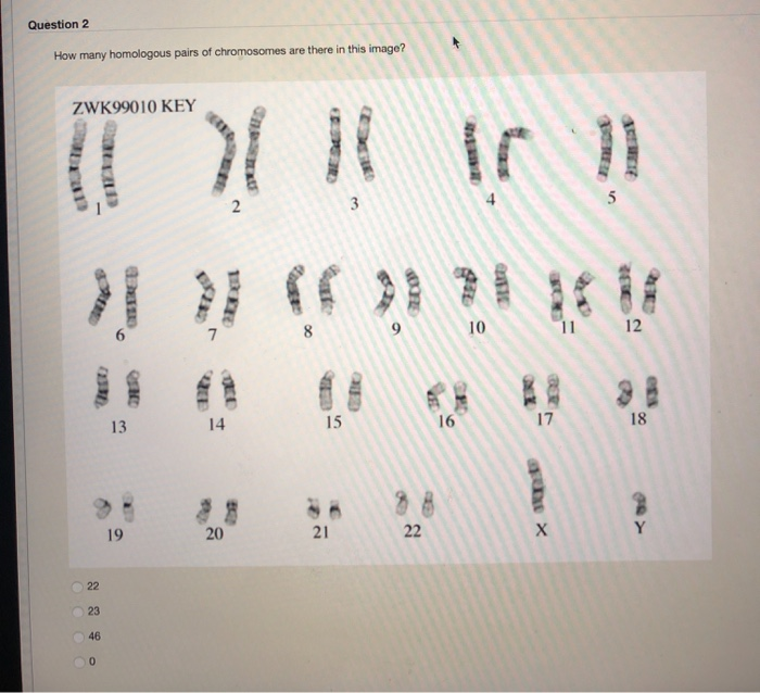 Solved Question 2 How many homologous pairs of chromosomes | Chegg.com