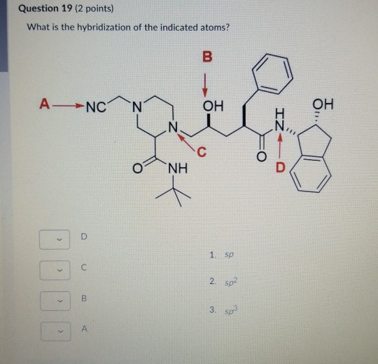 Solved Question 19 2 Points What Is The Hybridization O Chegg Com