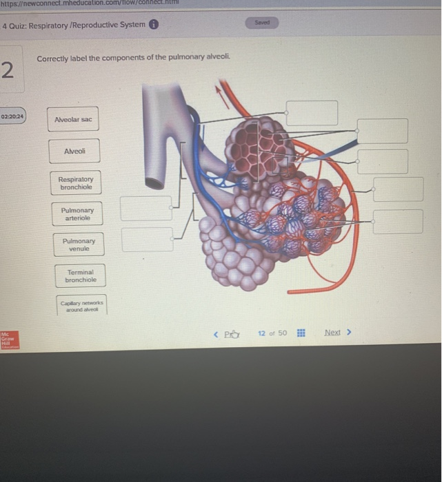 Solved: X M) Pasteur Grigory Tours Week 4 - ESC203500-4070... | Chegg.com