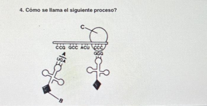 student submitted image, transcription available below