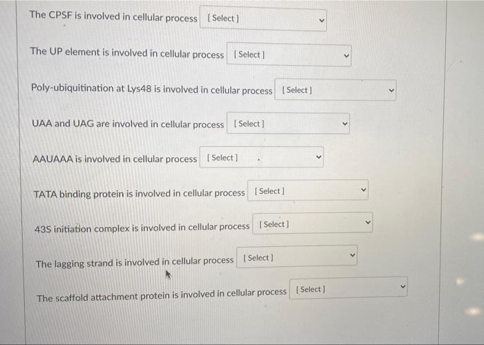 Solved ents Below is a list of cellular processes, labelled | Chegg.com