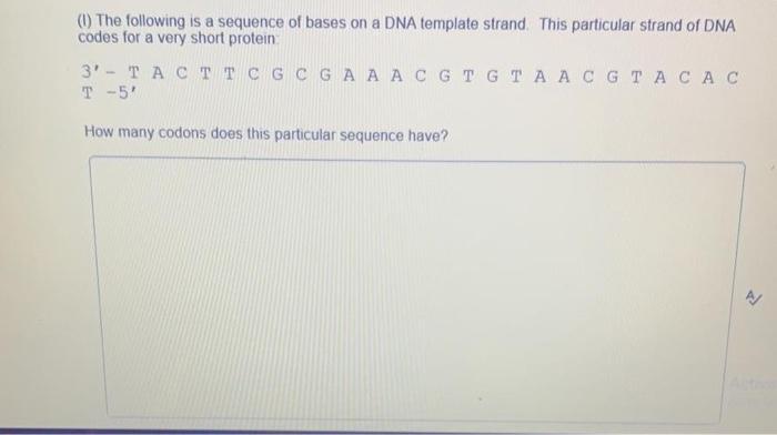 Solved The following is a sequence of bases on a DNA | Chegg.com