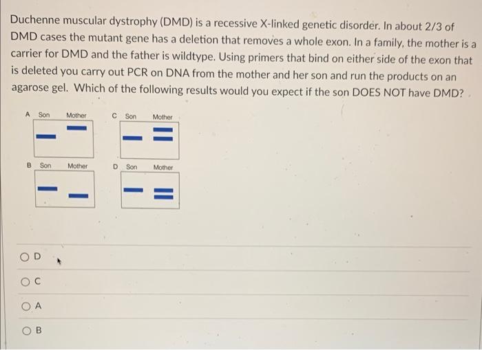 Solved Duchenne muscular dystrophy (DMD) is a recessive | Chegg.com