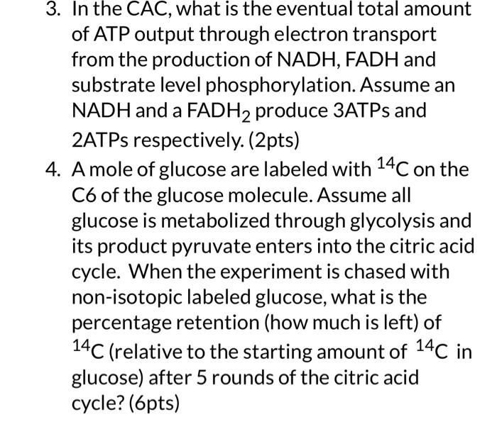 3. In the CAC, what is the eventual total amount of ATP output through electron transport from the production of \( \mathrm{N