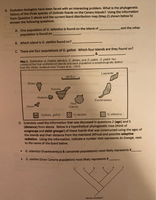 Solved 4. 4. The theory of Island biogeography is based on