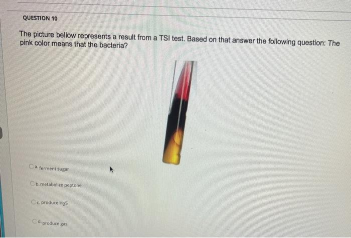 Solved QUESTION 10 The picture bellow represents a result | Chegg.com