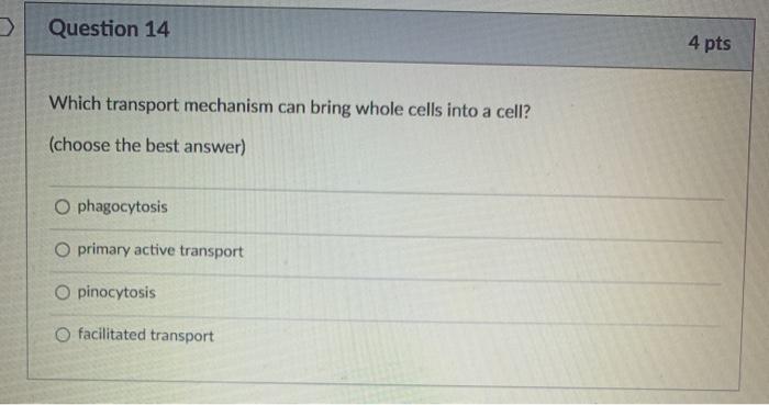 Which Transport Mechanism Can Bring Whole Cells Into A Cell