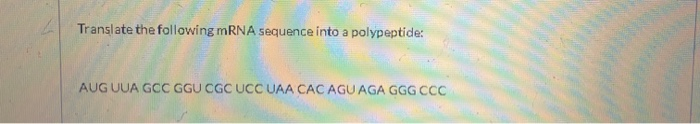 Solved Translate the following mRNA sequence into a | Chegg.com