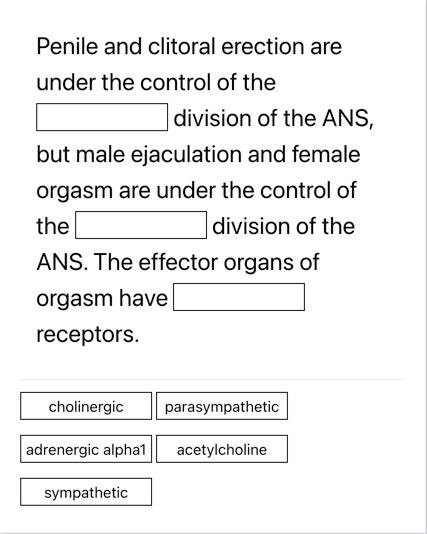 Solved Points out of 1.00 Flag question The ciliary ganglion