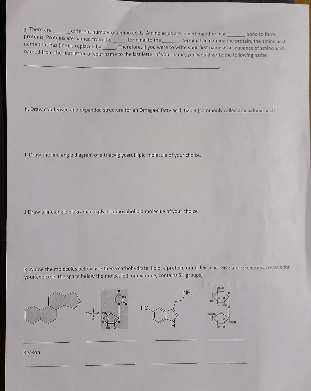 Solved G There Are Different Number Of Amino Acids Amino Chegg Com
