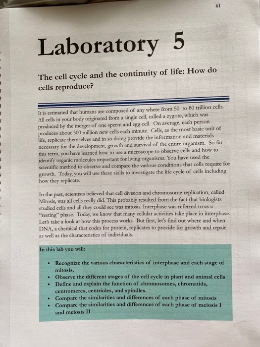 Solved 61 Laboratory 5 The cell cycle and the continuity of | Chegg.com