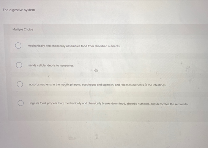 Solved The digestive system Multiple Choice mechanically and
