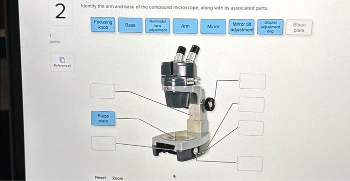 solved-identify-the-arm-and-base-of-the-compound-microscope-chegg