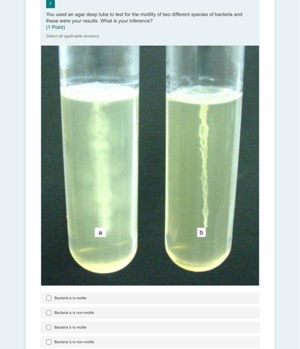 Solved You used an agar deep tube to test for the motility