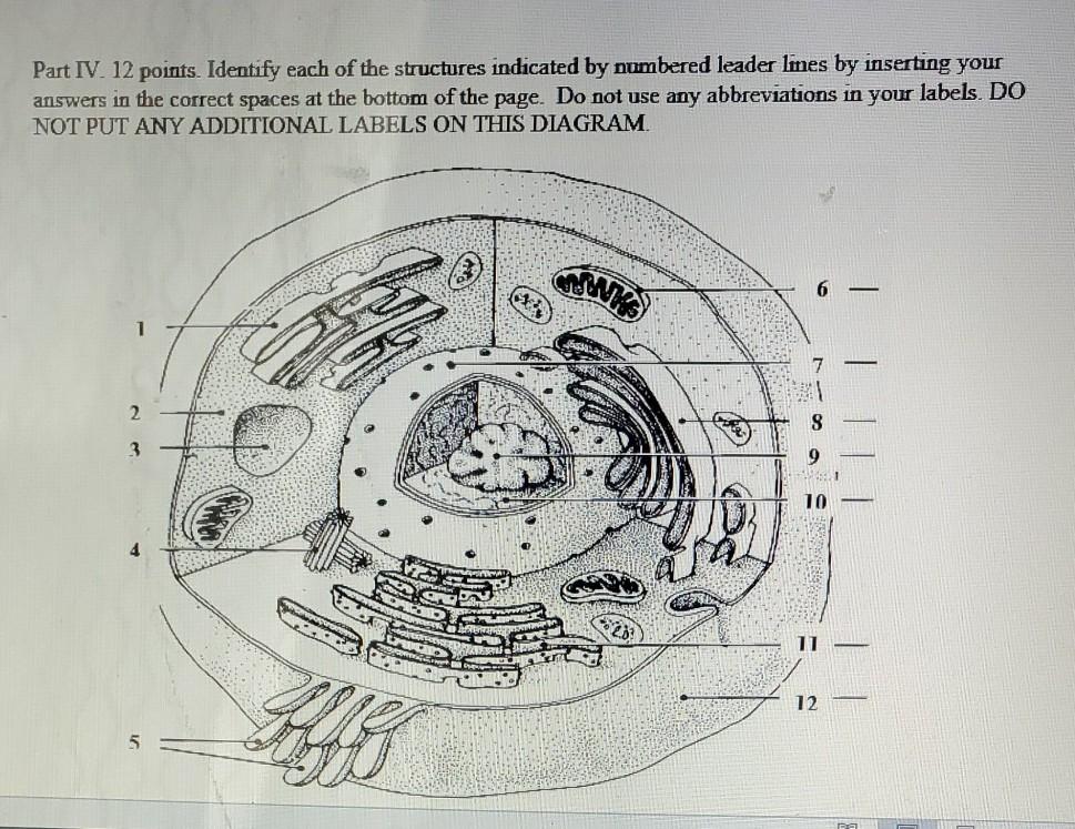 Solved Part IV. 12 points. Identify each of the structures | Chegg.com