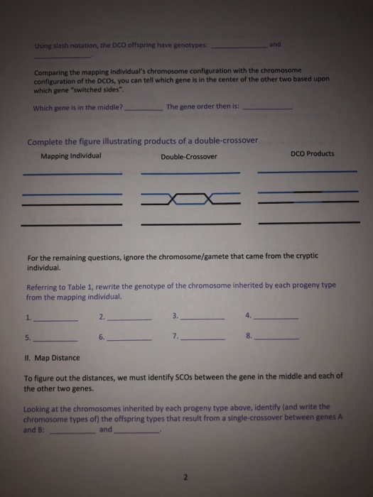 Solved BIO340 Activity #14: 3-Point Cross, Gene Order And | Chegg.com