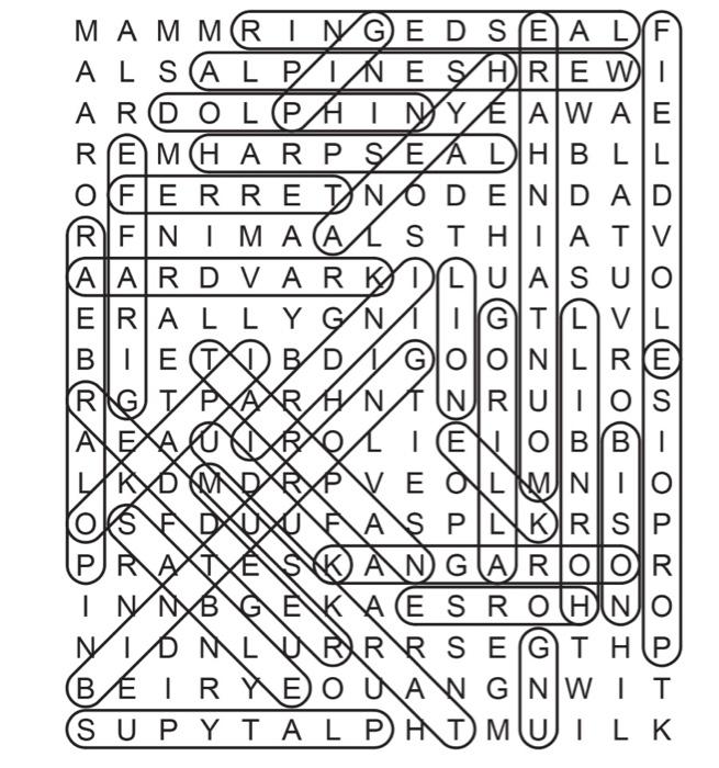 All the words are hidden vertically, horizontally or