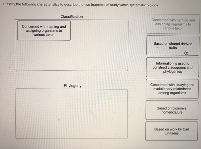 Solved Classify the following characteristics to describe