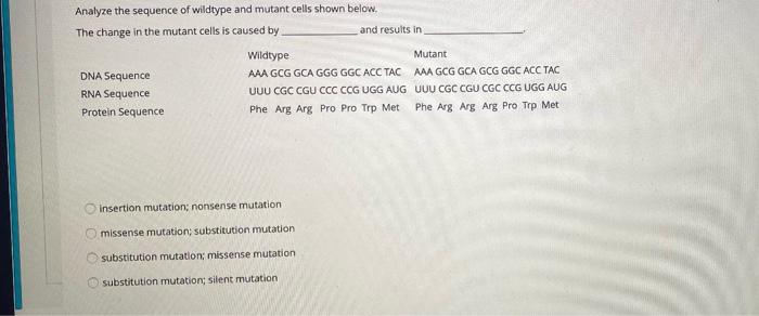 Solved Analyze the sequence of wildtype and mutant cells | Chegg.com