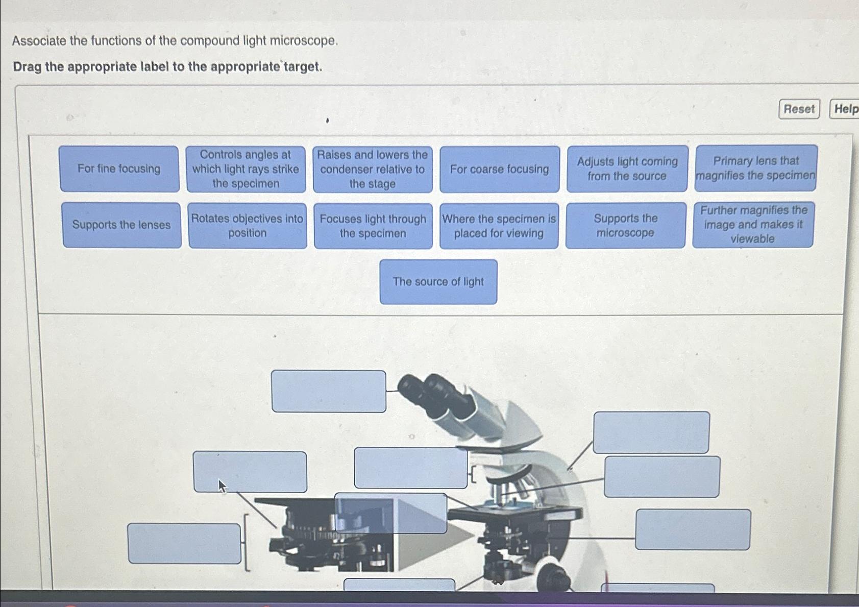 Solved Associate the functions of the compound light