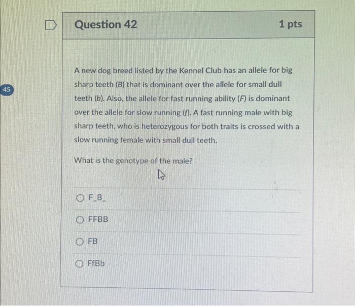 Solved A new dog breed listed by the Kennel Club has an