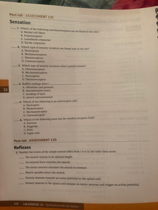 Solved Post-lab Assessments CHECK WHAT YOU LEARNED Post-lab | Chegg.com