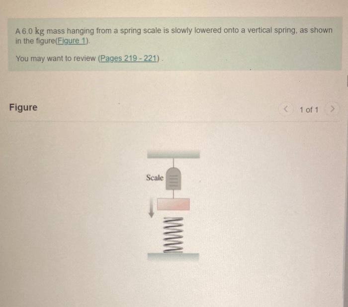 Solved A 6.0 kg mass hanging from a spring scale is slowly